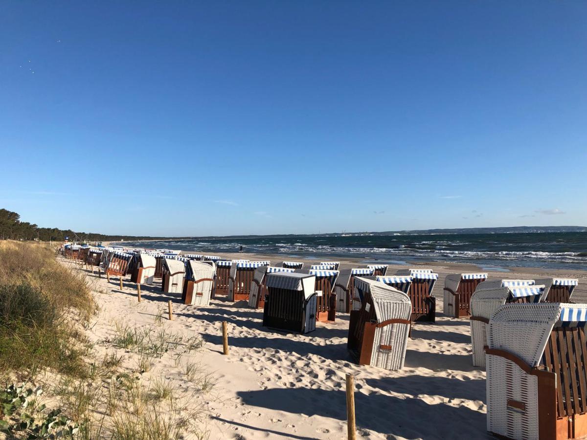 Helene Mit Meerblick In Lage - Seemöwe Mit Strandkorb Am *