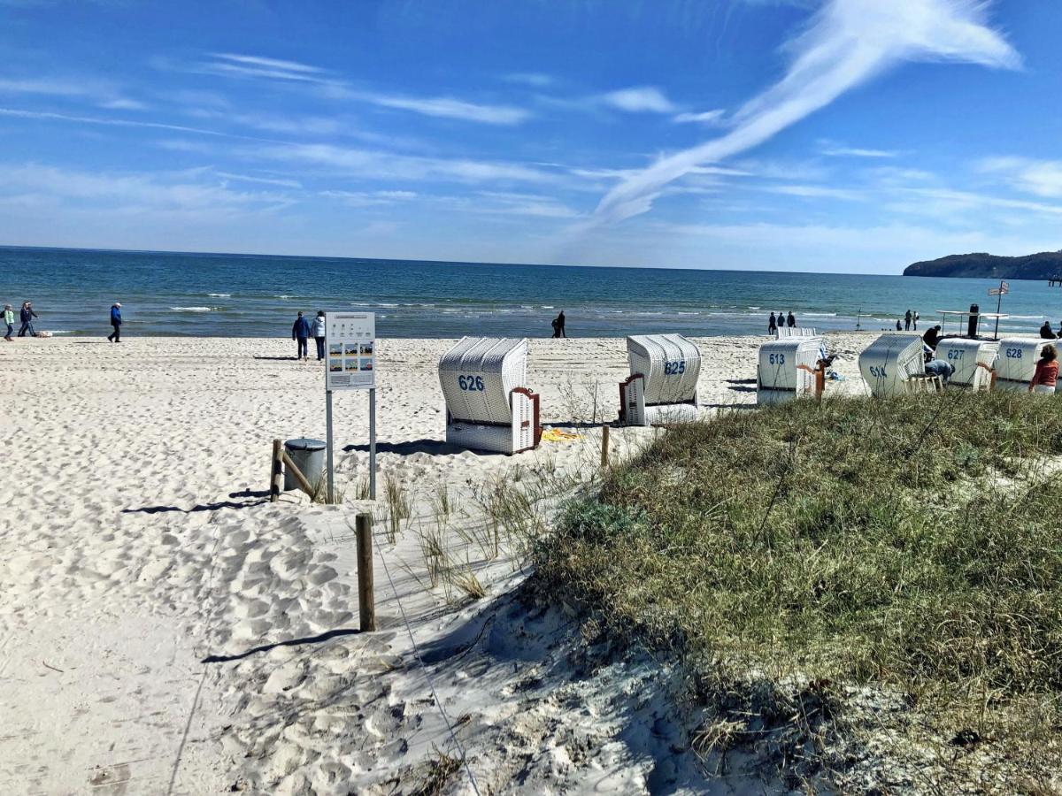 Helene Mit Meerblick In Lage - Seemöwe Mit Strandkorb Am *
